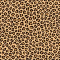 Leopard print. Vector seamless texture. Spotted animal pattern