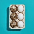 Leopard Print and White Eggs in Carton on Teal Background Royalty Free Stock Photo