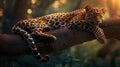 Leopard resting on a tree branch
