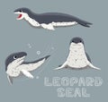 Leopard Seal Cartoon Vector Illustration Royalty Free Stock Photo