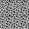 Leopard seamless pattern. Animal print. Skin leopard, cheetah or panther. Black pattern isolated on white background. Spot texture