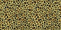 Leopard seamless pattern. Animal print. Vector background Royalty Free Stock Photo
