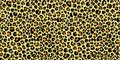 Leopard seamless pattern. Animal print. Vector background