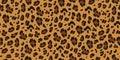 Leopard seamless pattern. Animalistic print for fabric, paper. Vector hand-drawn background. Royalty Free Stock Photo