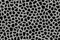 Leopard seamless pattern design, abstrat