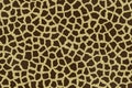 Leopard seamless pattern design, abstrat