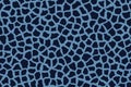 Leopard seamless pattern design, abstrat