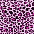 Leopard seamless pattern design, background Royalty Free Stock Photo