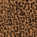 Leopard seamless pattern design, background Royalty Free Stock Photo