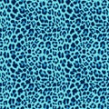 Leopard seamless pattern design, background Royalty Free Stock Photo