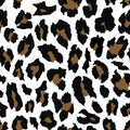 Leopard seamless pattern design . vector illustration background Royalty Free Stock Photo