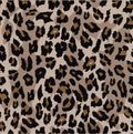 Leopard seamless pattern design . vector illustration background Royalty Free Stock Photo