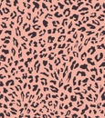 Leopard seamless pattern design . vector illustration background Royalty Free Stock Photo