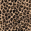 Leopard seamless pattern design . vector illustration background Royalty Free Stock Photo