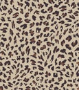 Leopard seamless pattern design . vector illustration background