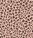 Leopard seamless pattern design . vector illustration background Royalty Free Stock Photo
