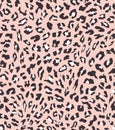 Leopard seamless pattern design . vector illustration background Royalty Free Stock Photo