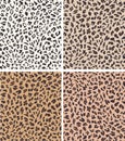 Leopard seamless pattern design . vector illustration background Royalty Free Stock Photo