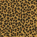 Leopard seamless pattern. Vector african background. Wild animal wallpaper. Royalty Free Stock Photo