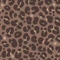 Leopard seamless pattern. Vector african background. Wild animal wallpaper. Royalty Free Stock Photo