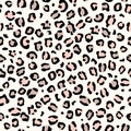 Leopard seamless print pattern animal vector skin texture, leopard or jaguar pattern