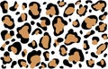 Leopard seamless svg pattern design vector illustration