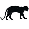 Leopard shadow animal icon silhouettes isolated on dark black graphical in white Royalty Free Stock Photo