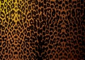 Leopard skin