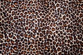 Leopard skin background