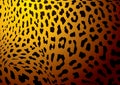 Leopard skin gold