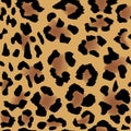 Leopard skin pattern Royalty Free Stock Photo