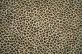 Leopard skin pattern