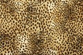 Leopard skin pattern texture. Leopard texture background. Animal print. Leopard fur texture. Royalty Free Stock Photo