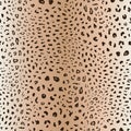 Leopard skin pattern. Vector seamless texture. Animal print, jaguar, cheetah Royalty Free Stock Photo