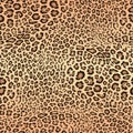 Leopard skin pattern. Vector seamless texture. Animal print, jaguar, cheetah Royalty Free Stock Photo