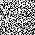 Leopard skin repeated seamless pattern texture.