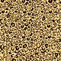 Leopard skin seamless pattern, animal texture, spotted tracery, animalistic ornament, vector background. Chaotic black orange spot Royalty Free Stock Photo