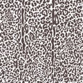 Leopard skin seamless pattern. Cheetah black and white print. Jaguar monochrome abstract ornament. Vector design. Royalty Free Stock Photo