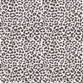 Leopard skin seamless pattern. Cheetah black and white print. Jaguar monochrome abstract ornament. Vector design. Royalty Free Stock Photo