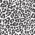 Leopard skin seamless pattern. Cheetah black and white print. Jaguar monochrome abstract ornament. Vector design. Royalty Free Stock Photo