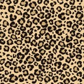 Leopard skin seamless pattern. Cheetah Jaguar animal texture background. Vector Royalty Free Stock Photo