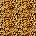 Leopard skin seamless pattern. Jaguar, cheetah texture. Bright abstract wild cat animal background. Raster