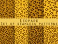 Leopard skin seamless pattern. Set leopard print. Vector. Royalty Free Stock Photo