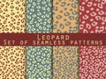 Leopard skin seamless pattern. Set leopard print. Vector Royalty Free Stock Photo