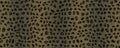 Leopard skin texture background Royalty Free Stock Photo