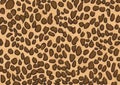 Leopard skin texture background wallpaper design Royalty Free Stock Photo