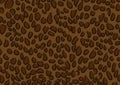 Leopard skin texture background wallpaper design Royalty Free Stock Photo