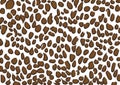 Leopard skin texture background wallpaper design Royalty Free Stock Photo