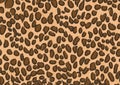 leopard skin texture background wallpaper design Royalty Free Stock Photo