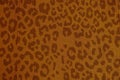 Leopard skin texture. Leopard spots background